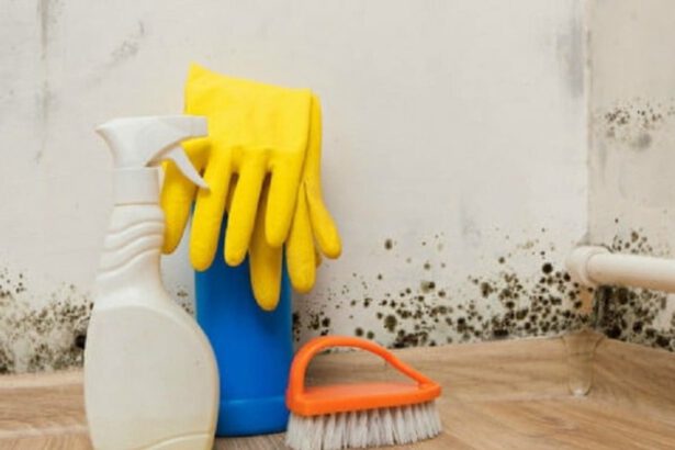 Come togliere la muffa dai muri, tutti i rimedi naturali e non 6