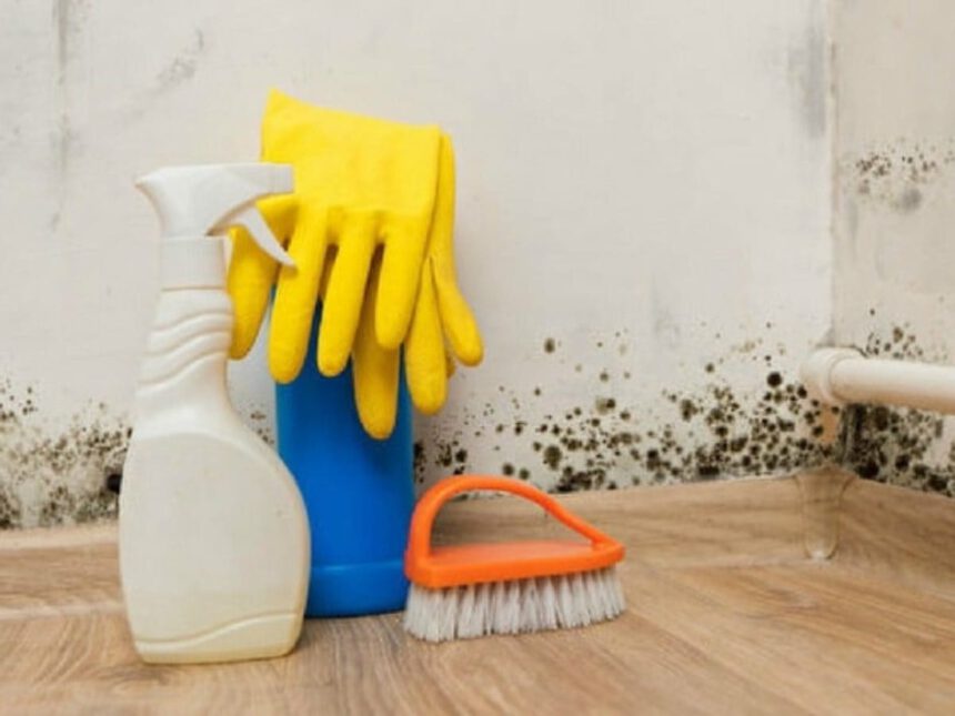 Come togliere la muffa dai muri, tutti i rimedi naturali e non 1