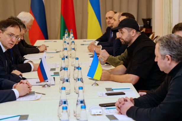 Russia-Ucraina, conclusi i negoziati: trovati punti in comune su cui lavorare 5