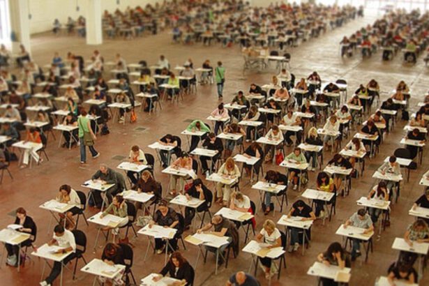 Scuola, il 22 ottobre è la data del concorso straordinario per 32mila posti 9