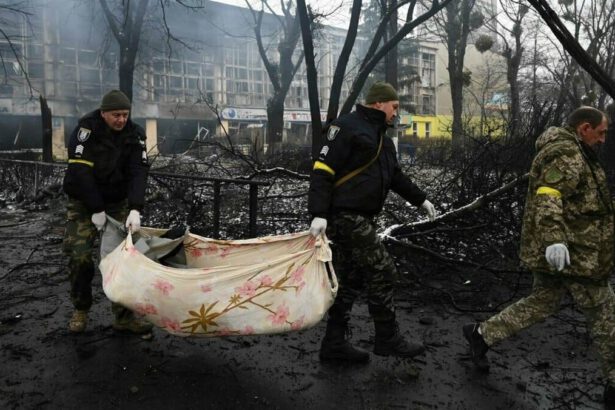Consiglio d'Europa richiama Mosca: “Eviti gli attacchi contro i civili, abitazioni e ospedali” 46