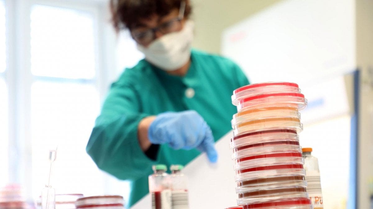 L’errore della mente che non ci fa capire la pericolosità del coronavirus 1