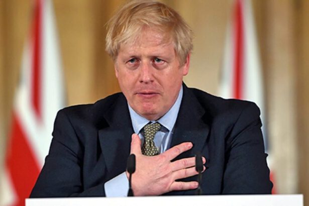 La Gran Bretagna è senza premier: Boris Johnson è in terapia intensiva 10