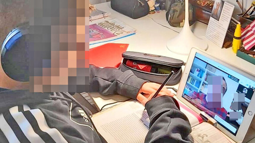 Coronavirus e scuole chiuse: tutte le ipotesi per riapertura e Maturità 1