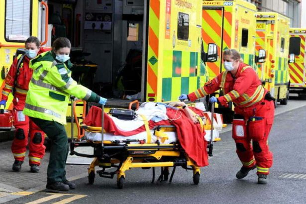 Covid Gran Bretagna: spunta una nuova variante. Picco di morti e ospedali al collasso 8