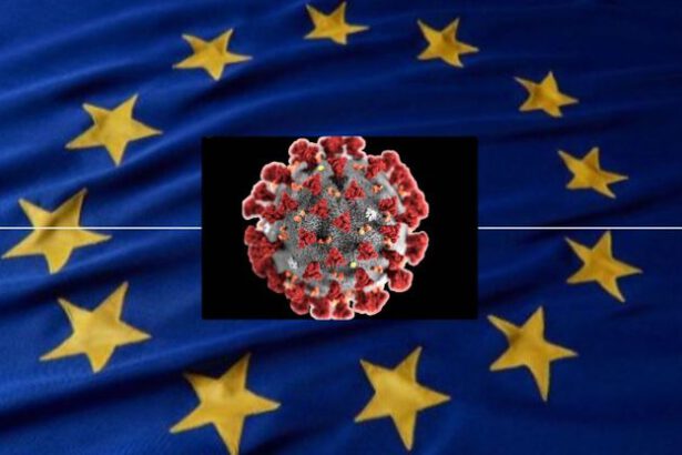 Morti di Coronavirus: tutte le bugie dell’Europa 18
