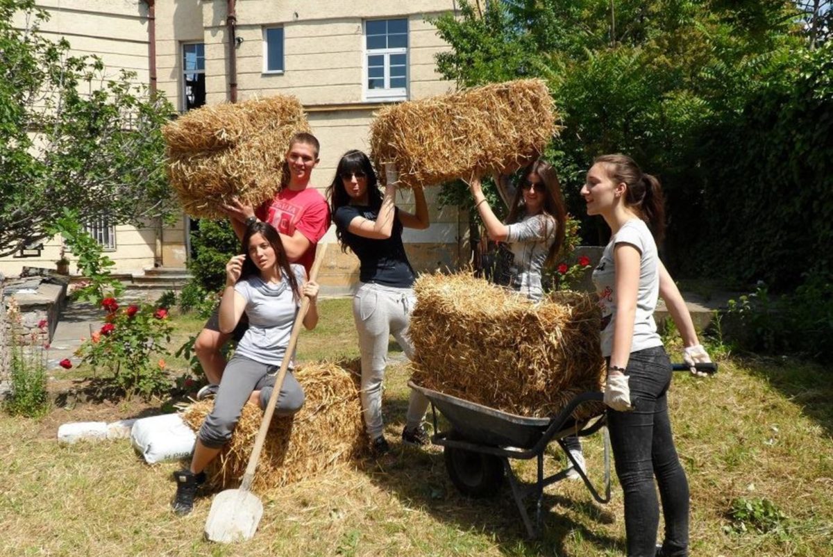 Cos'è il fenomeno Wwoofing: giri il mondo lavorando in fattoria 3