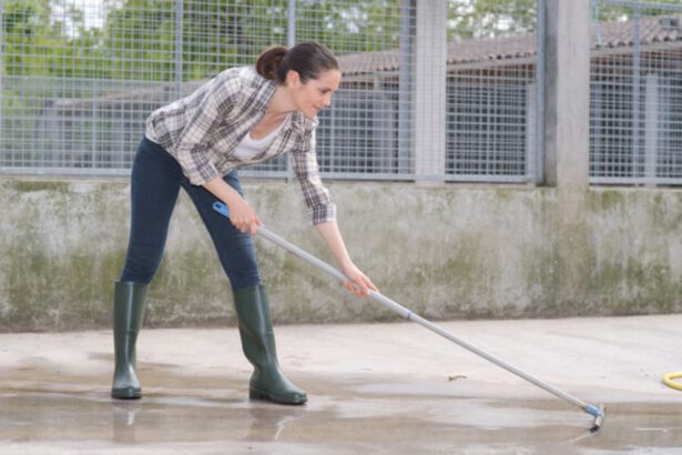 Creolina disinfettante, quando e come usarla correttamente 7