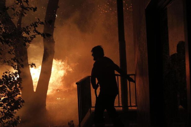 Crisi climatica: quali sono i possibili scenari futuri 7