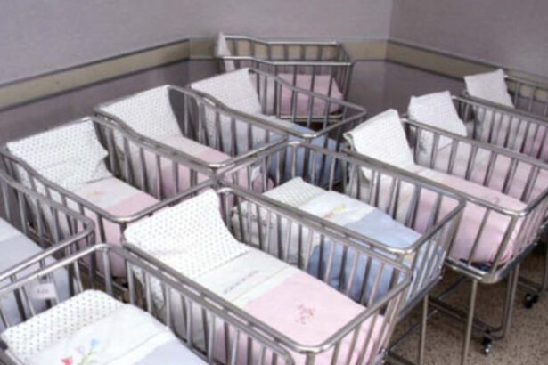 Istat, crollo delle nascite: il peggior dato dall'Unità d'Italia 7