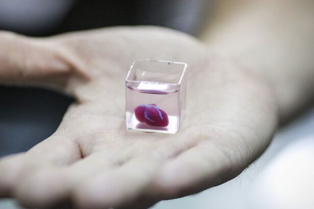 Realizzato il primo cuore artificiale stampato in 3d 6
