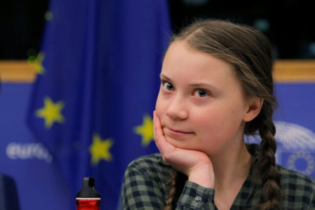 Le prossime tappe di Greta: parteciperà al vertice sul clima delle Nazioni Unite 11