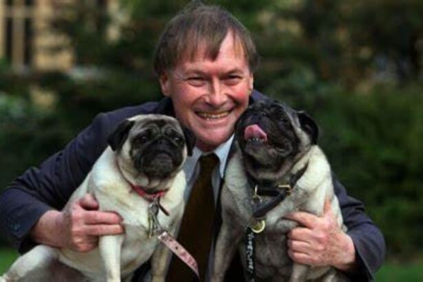 Gran Bretagna, shock dopo l'omicidio del deputato David Amess, le autorità: "Attacco terroristico" 6