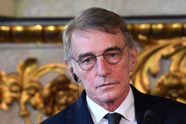 David Sassoli non sta bene, 2 ricoveri in 4 mesi: "Grave complicanza al sistema immunitario" 11