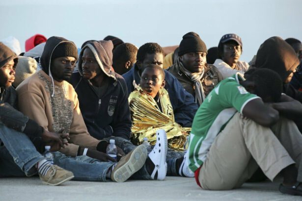 Modifica decreti sicurezza, ecco come sono cambiati 14