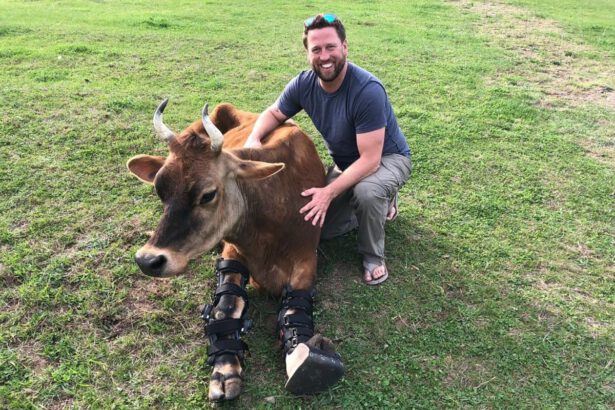 Derrick Campana realizza protesi per aiutare gli animali amputati a camminare di nuovo 13