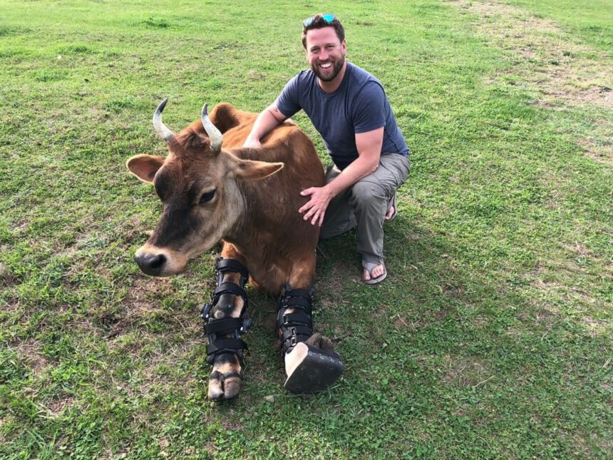 Derrick Campana realizza protesi per aiutare gli animali amputati a camminare di nuovo 1
