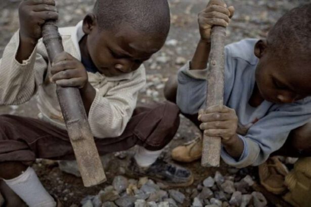 Giornata Mondiale dei Diritti Umani, oggi più sentita che mai 51