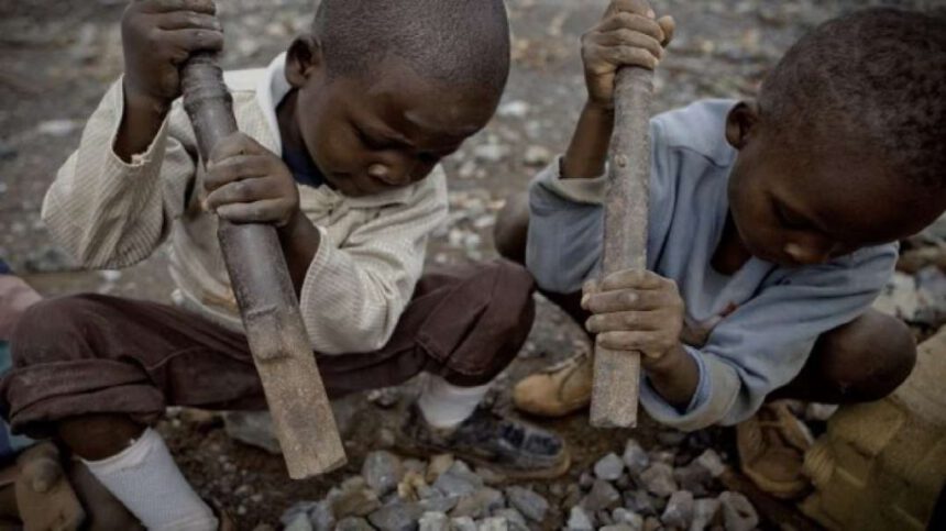 Giornata Mondiale dei Diritti Umani, oggi più sentita che mai 2 Giornata Mondiale dei Diritti Umani, oggi più sentita che mai 1