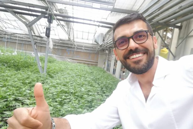 Un sogno chiamato "Canapa". Ecco come tre ragazzi lo hanno realizzato 15