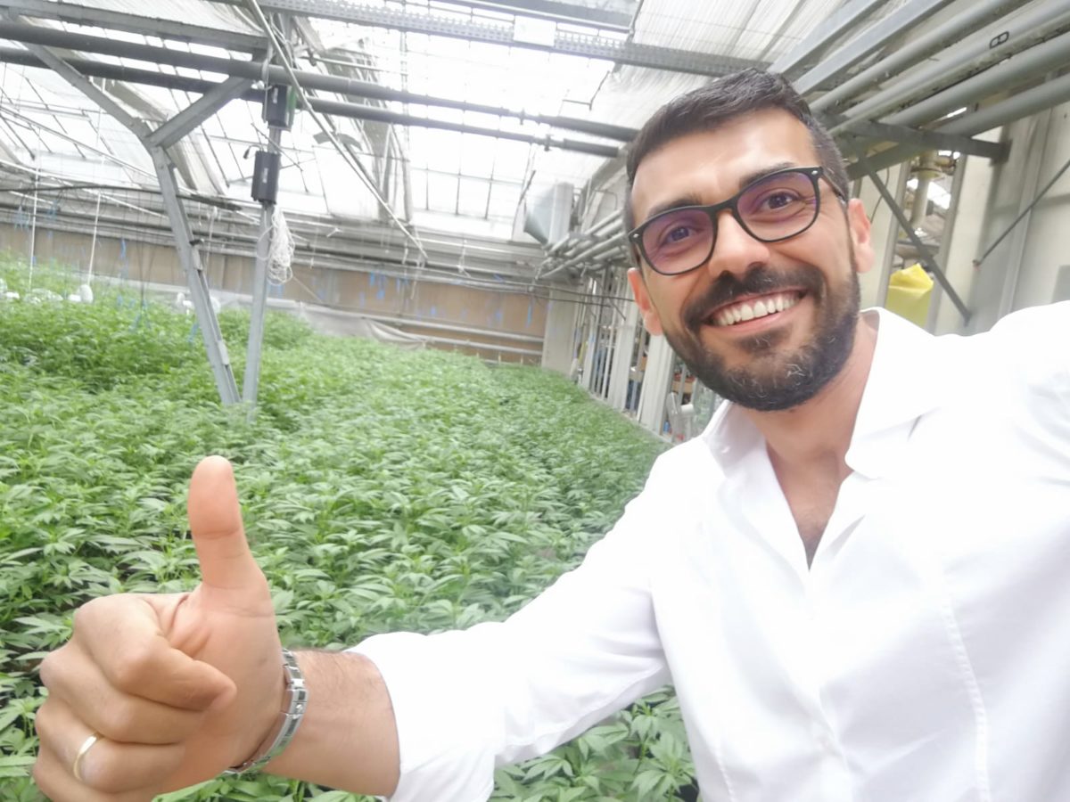 Un sogno chiamato "Canapa". Ecco come tre ragazzi lo hanno realizzato 17