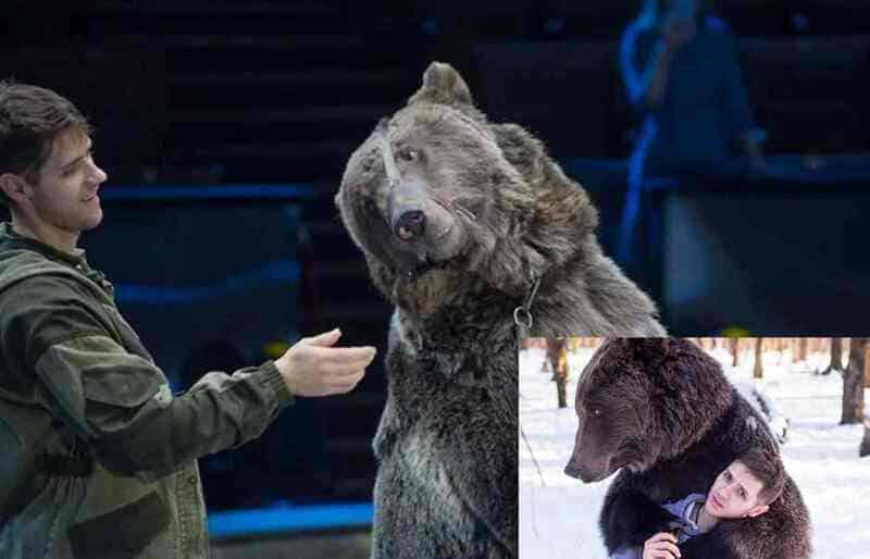 Orso sbrana un aspirante domatore al circo: “Indossava mascherina, non l’ha riconosciuto” 4 circo