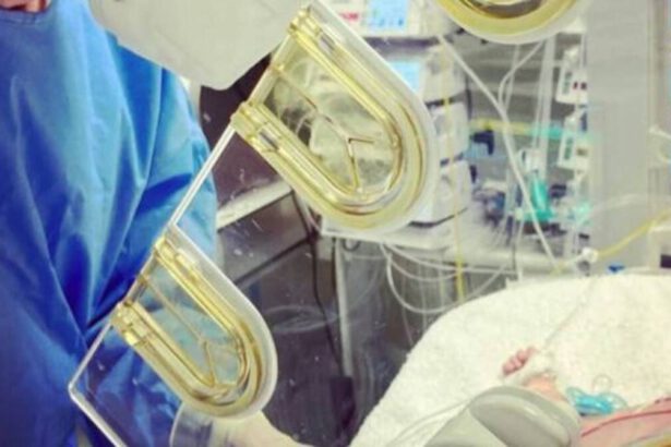 Palermo, due neonati ricoverati per overdose: "Hanno assunto hashish e cocaina" 9