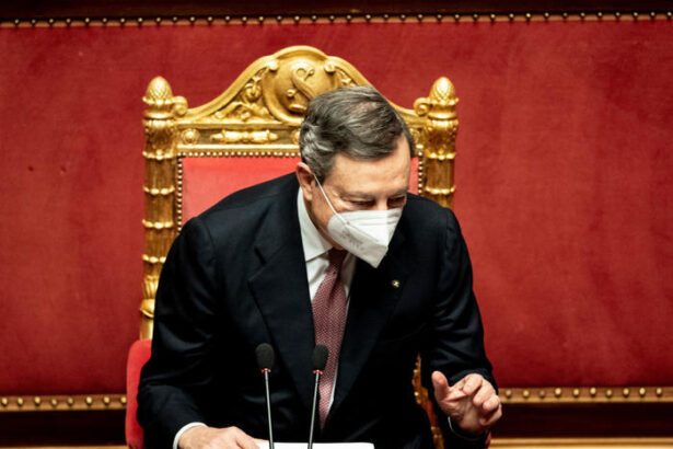 Mario Draghi, i passaggi chiave del discorso in Senato: "Vogliamo lasciare un buon pianeta" 14