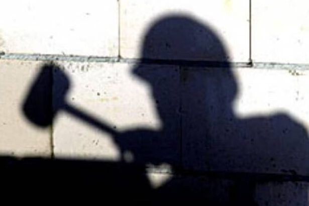 Istat, in Italia lavoro nero e criminalità valgono 211 miliardi 15