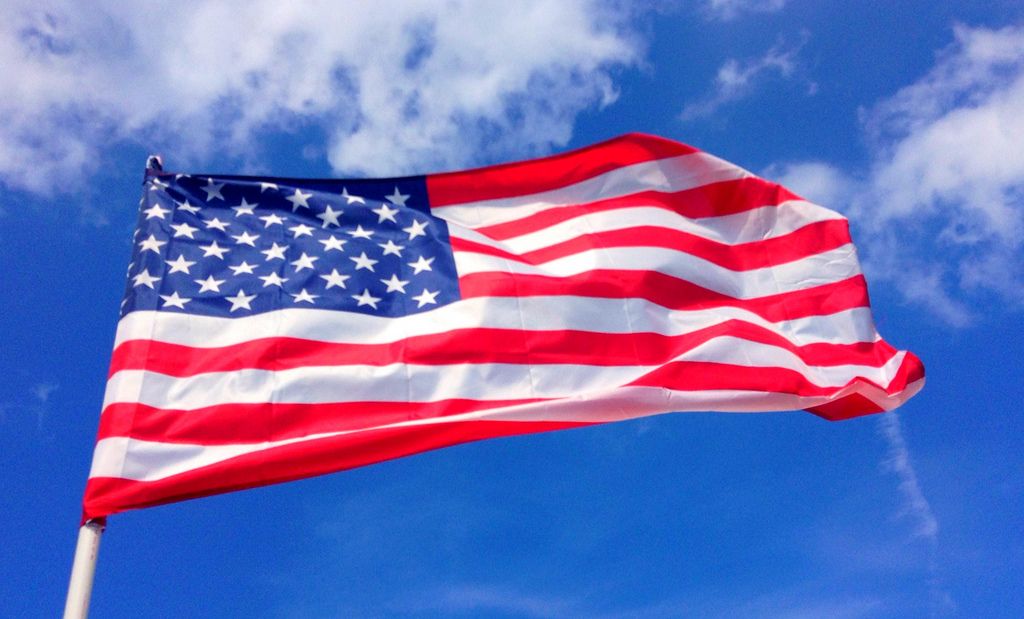 Elezioni americane, tutto quello che c'è da sapere 17