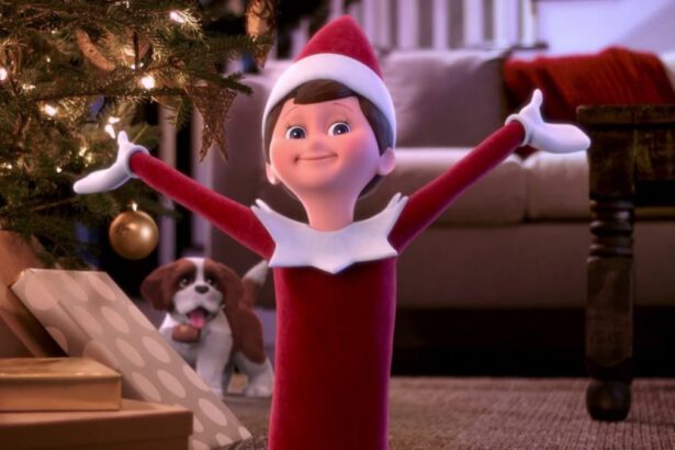 Elf on the Shelf, perché adottare un elfo magico a Natale 67
