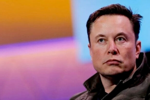 "Bloccami ora", Elon Musk compra il 9.2% di Twitter. Quali sono i suoi piani? 5