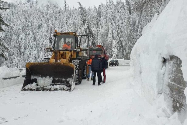 Neve in Veneto, Bottacin: “Disponibilità del Governo per lo stato d’emergenza” 18