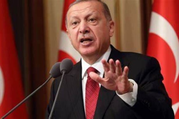 Turchia: Erdogan vuole cacciare 10 ambasciatori occidentali 20