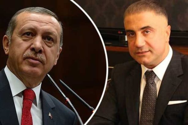 Diffonde video contro il governo di Erdoğan: mandato di cattura per Sedat Peker 8