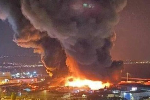 Spaventoso incendio al porto di Ancona, si teme nube tossica. Il sindaco: "Tenete le finestre chiuse" 14