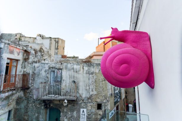 Eccellenze italiane: l'arte della siciliana Farm Cultural Park fa rinascere il centro di Favara 23