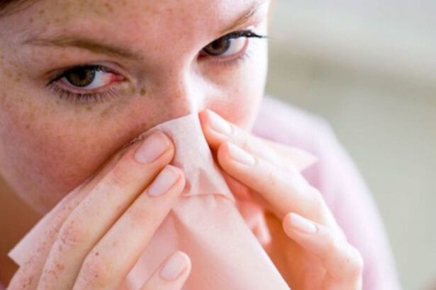 Covid, appena arrivato il nuovo farmaco: “Si assume respirando” 15