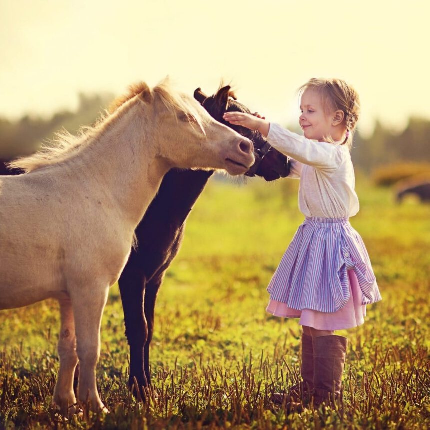 Chi è Rebecca, la bambina che nella sua fattoria salva gli animali in difficoltà 1
