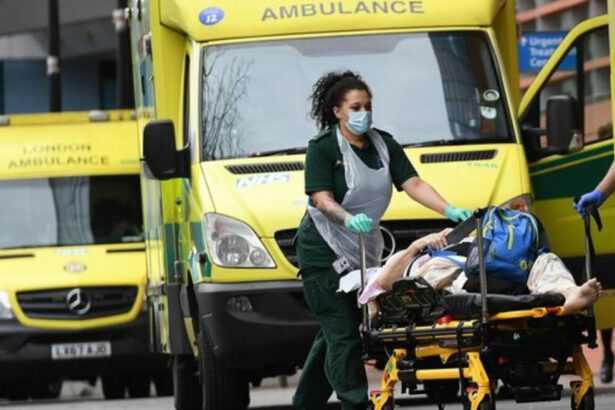 Febbre di Lassa, primo morto in Gran Bretagna: cos'è, sintomi, rischi. "Simile all'ebola" 17