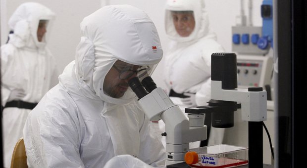 Febbre di Lassa, primo morto in Gran Bretagna: cos'è, sintomi, rischi. "Simile all'ebola" 3 Febbre di Lassa: cos'è, sintomi, rischi