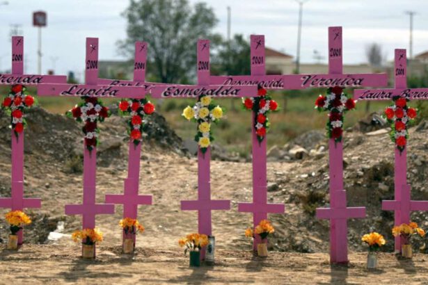 Ciudad Juárez: la città messicana dove le donne vengono rapite, stuprate, uccise e mutilate 6