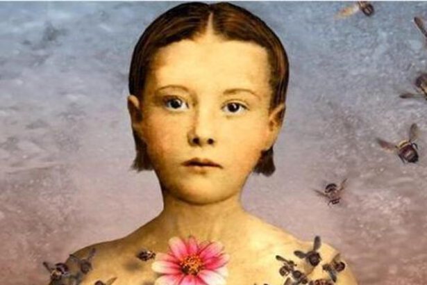 Festival della Bellezza, 2 donne su 24 ospiti e un’opera rubata 18