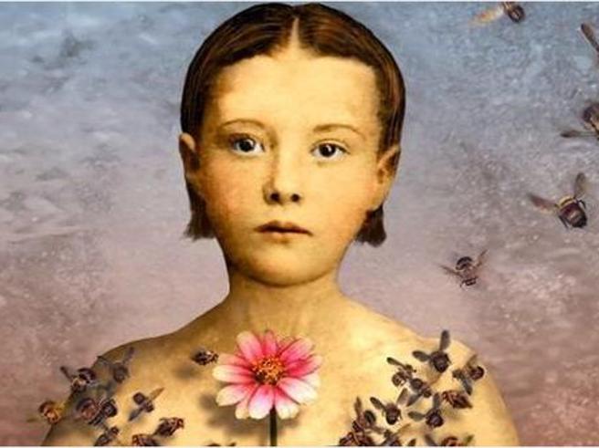 Festival della Bellezza, 2 donne su 24 ospiti e un’opera rubata 2 Festival della Bellezza, 2 donne su 24 ospiti e un’opera rubata 1