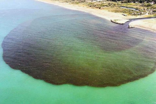 Campania in ginocchio: esplosione in fabbrica e fiume più inquinato d’Europa 6
