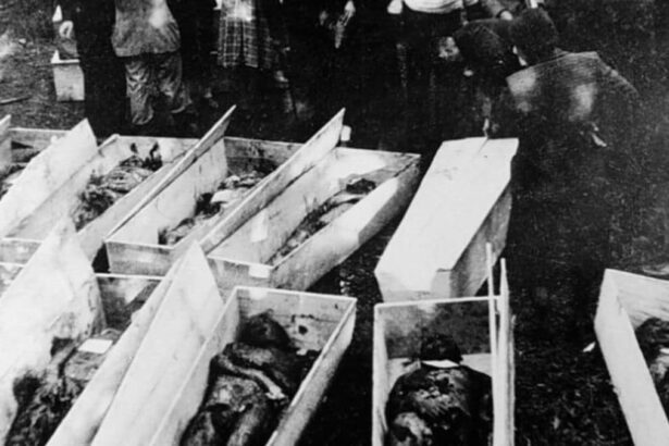 Il massacro delle foibe, perché si parla di strage dimenticata 9