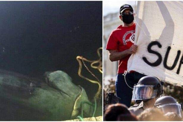 Usa, manifestanti abbattono la statua di Cristoforo Colombo: “Rappresenta il genocidio” 18