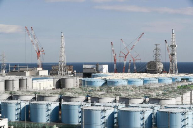 Fukushima sverserà l'acqua contaminata in mare: Tokyo dà l'ok, ma Cina e Sud Corea non ci stanno 17