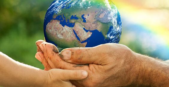 Dieta vegetale per salvare il mondo, lo studio della NY University 6 Dieta vegetale per salvare il mondo, lo studio della NY University 5