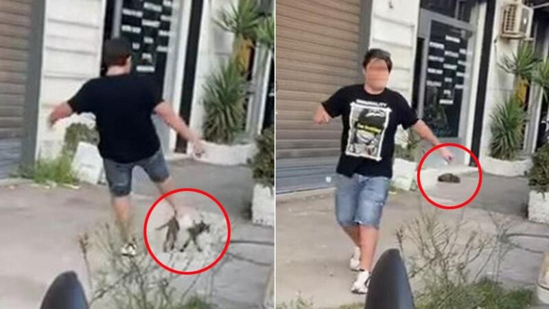 Ragazzino per strada prende a calci un gatto e pubblica il video su TikTok 3